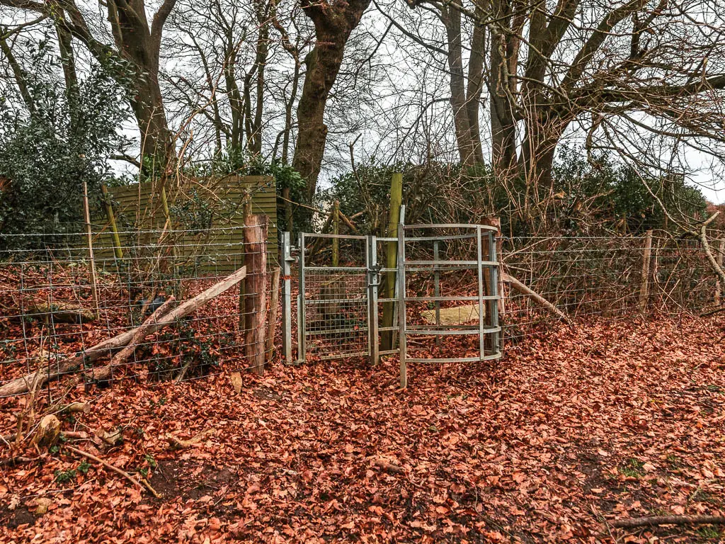 A metal gate and wire fence surround by fallen red and orange leaves.