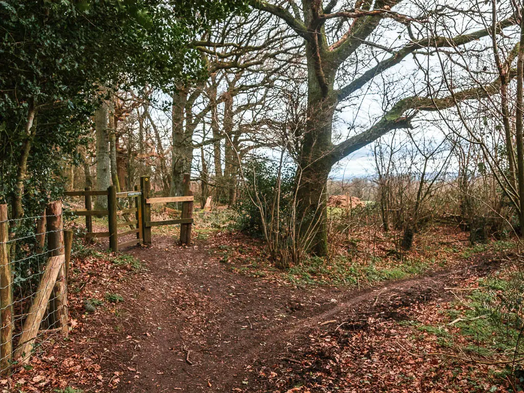 A dirt trail corner, with a dirt trial leading off it to the left towards a wooden gate. The trails are lined by straggly trees.