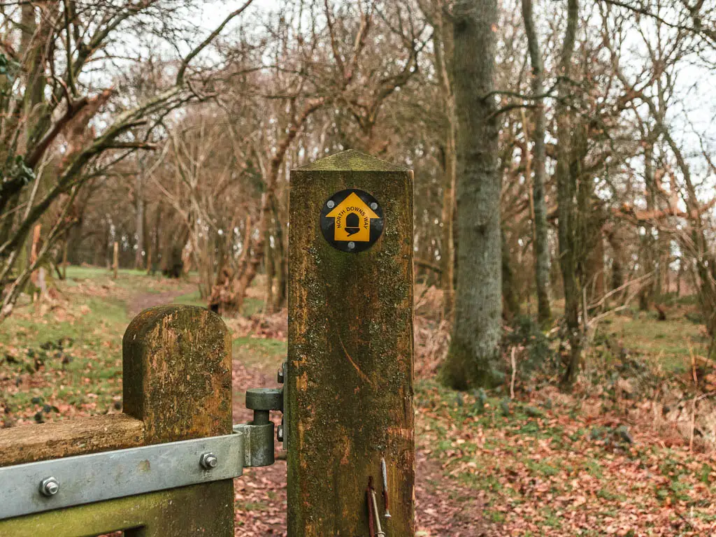 A yellow arrow trail marker on the wooden gate, pointing ahead towards the trees, on the walk between Oxted and Otford.