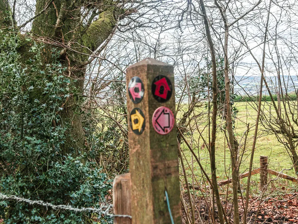 Four arrow trail parkers in pink, yellow, and red, on a wooden stump.