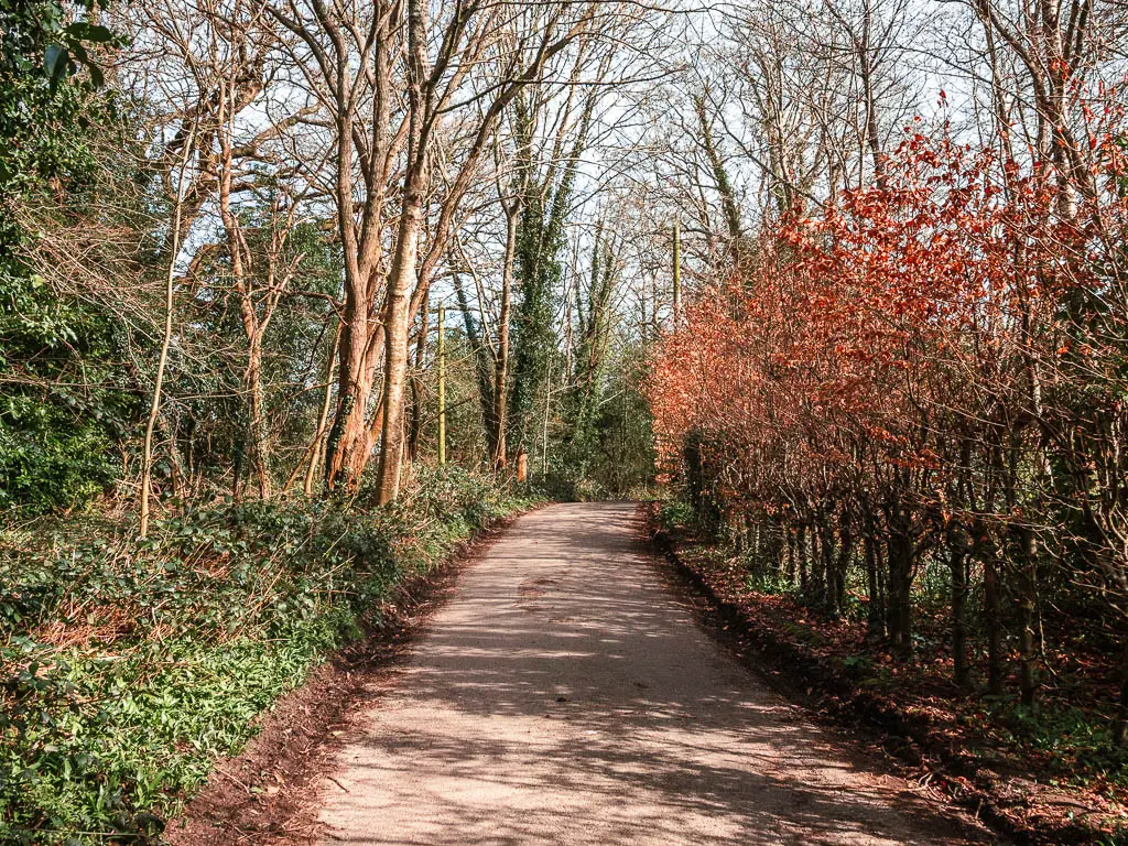 A wide path lined with bushes and trees, with a mix of red and green leaves.