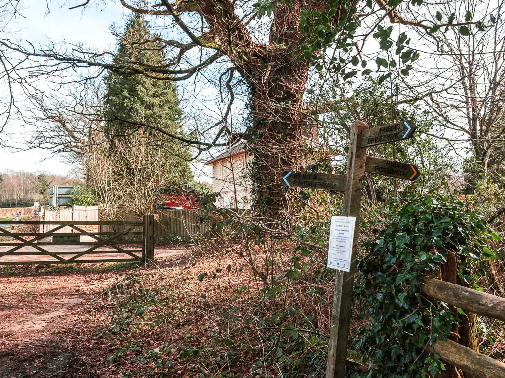 A leaning wooden trail signpost next to an ivy covered fence on the right. There is a gate ahead leading to the road.