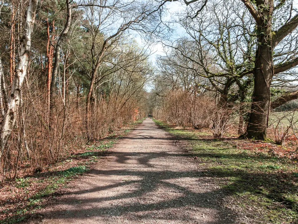 A long straight gravel path lined with trees which is the old railway trackbed for the Worth Way.