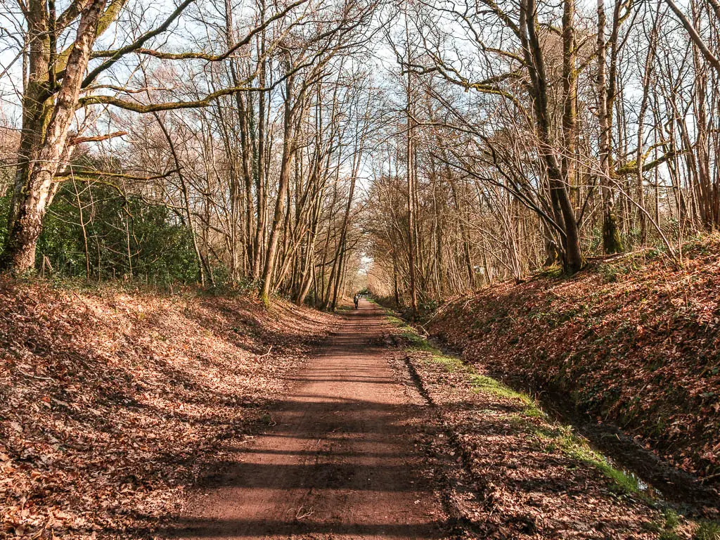 A long straight wide dirt path along the Worth Way trail, lined with brown leaf covered banks and leafless trees. There is a person walking along it ahead in the distance.