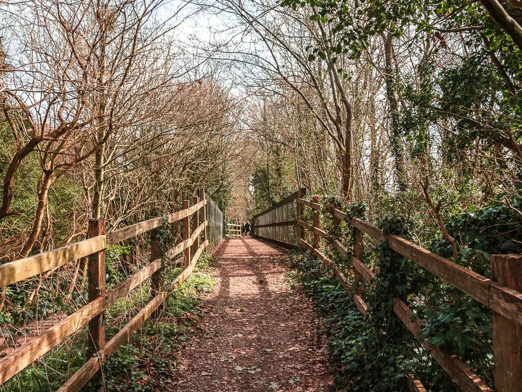 A dirt path lined with wooden railings, leading through the woods.