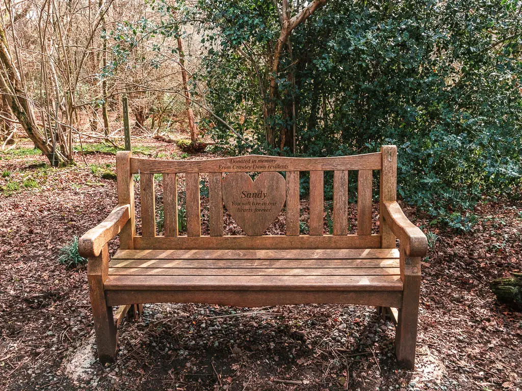 A wooden memorial bench on a dirt ground covered in brown leaves. There is a green leafy bush behind it.