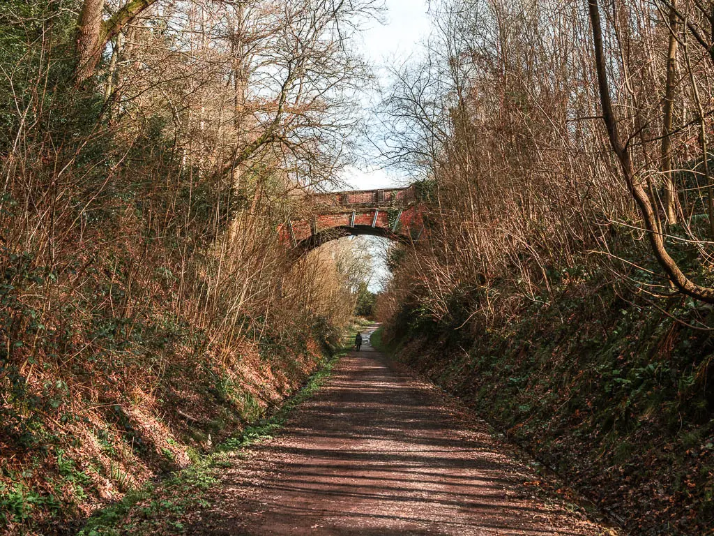 A long wide dirt path leading straight and under an arched bridge, on the walk along the Worth Way. There are steep banks on either side of the trail with straggly leafless tree and tree branches. There is a person walking under the bridge ahead.