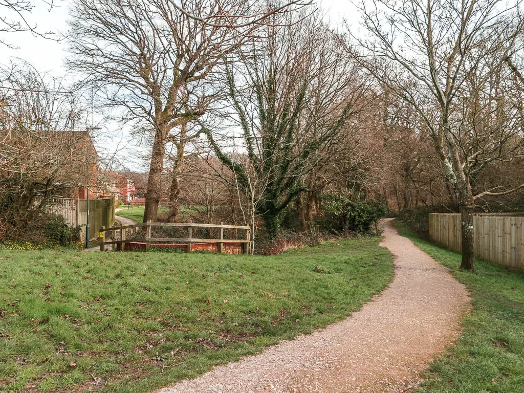 A path winding ahead through the green, towards some straggly leafless trees ahead.