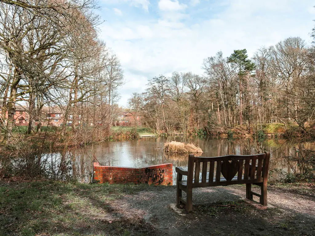 A wooden bench on the dirt in front of Crawley pond, near the end of the worth way walk.