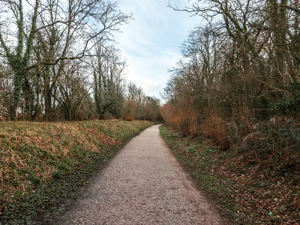 A long straight path lined with grass banks and bushes and trees.