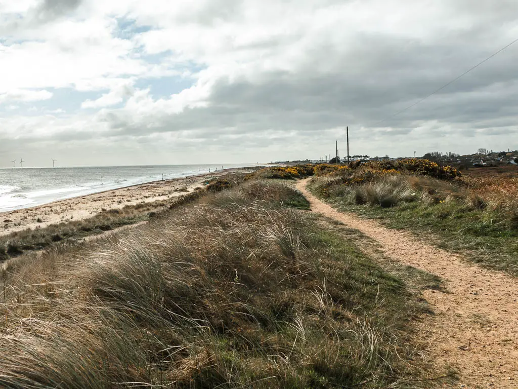 A sandy path on the right with tall grass on the left of it, and the beach below to the left on the walk towards Great Yarmouth from Hemsby.