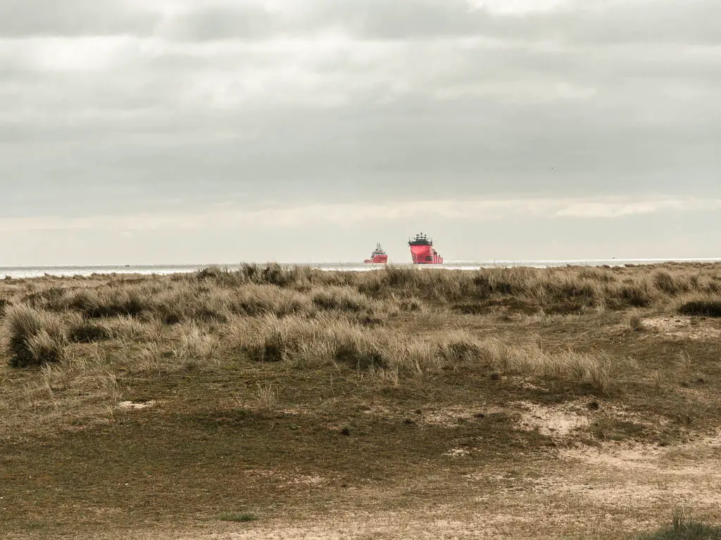 Looking across the grass field with tall grass, to two big red cargo ships in the sea in the distance near the end of the walk between Hemsby and Great Yarmouth.