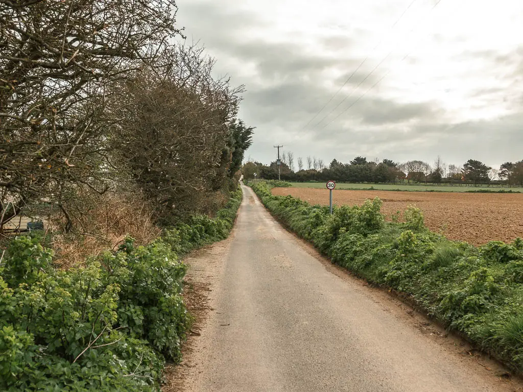 A long straight small road, lined with small green bushes on both sides, with some trees to the left and a crop field to the right.