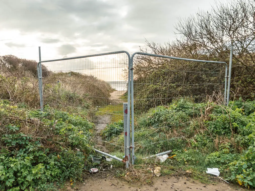 A metal fence blocking the trail, surrounded by greenery.