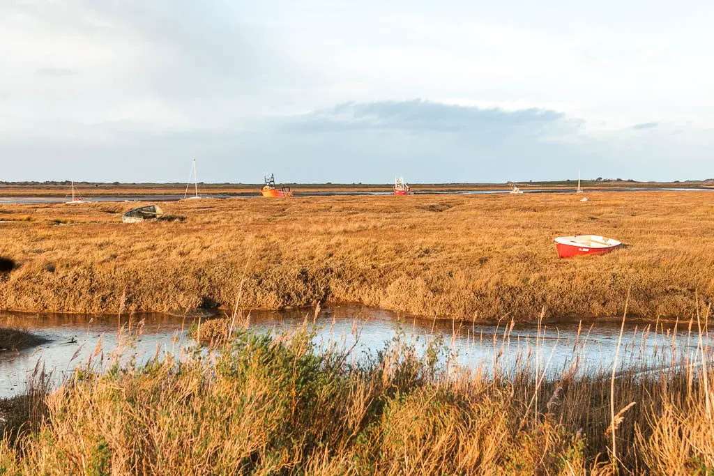 Looking across the orange/yellow marshland with a few boats scattered about. There is a stream of water running through the marsh from left to right.