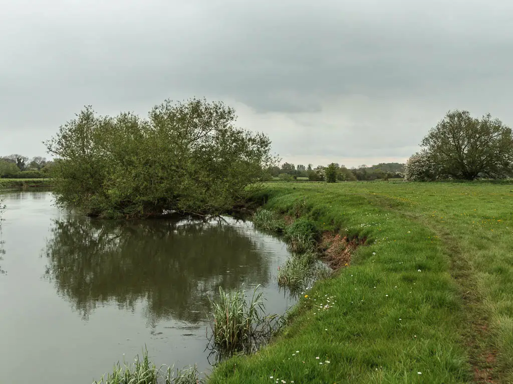 The river on the left and grass field on the right. There is a trail running through the field alongside the river. There is a big tree in the river ahead.