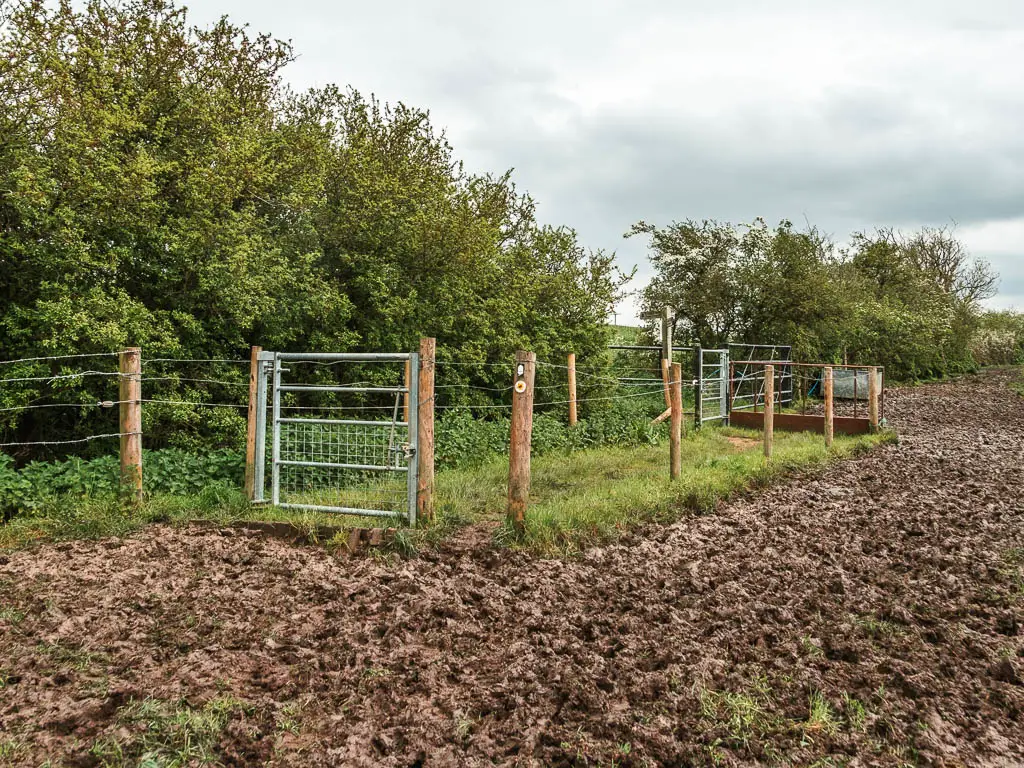 A mass of mud surrounding a path of grass with a metal gate and wire fence.