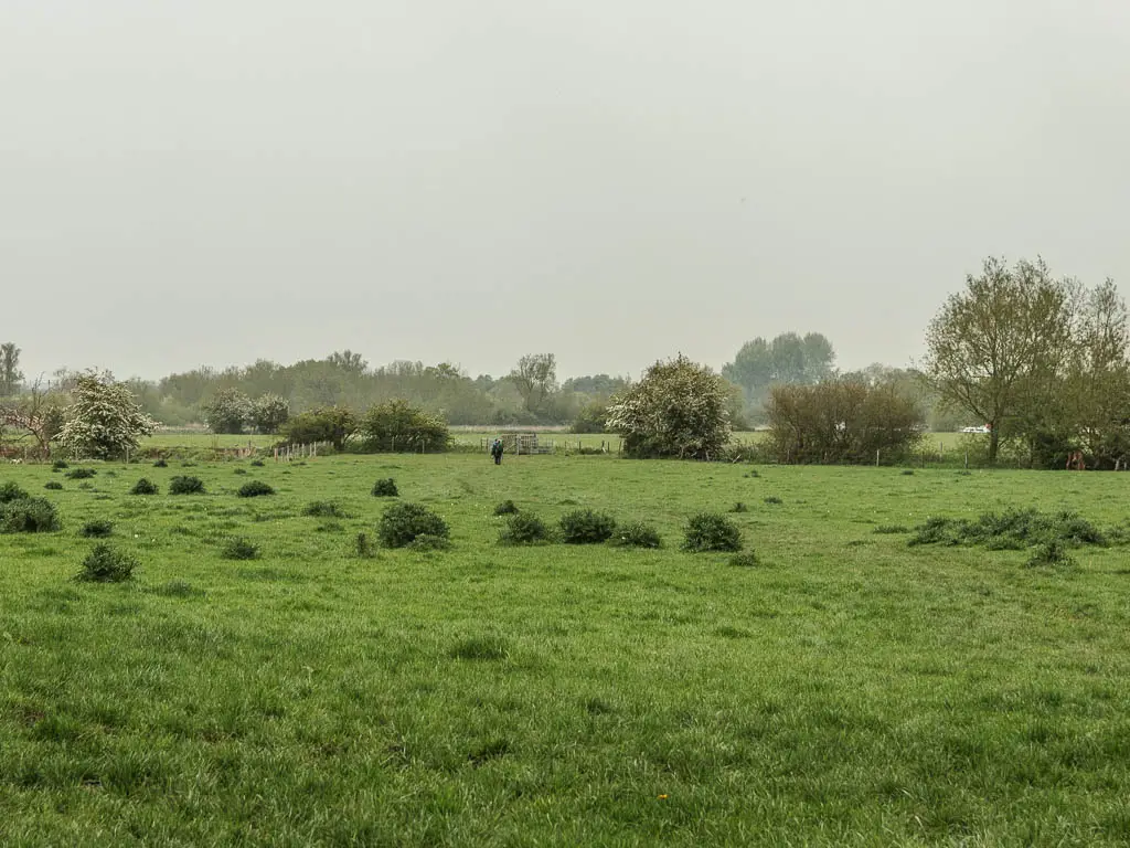 Looking across a large grass field with trees in the distance in the mist, near the end of the walk from Cricklade to Lechlade.