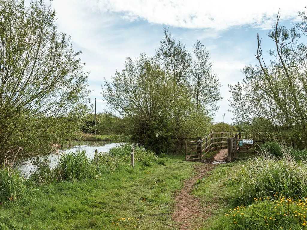 A muddy trail leading ahead through the grass to a wooden fence and gate.