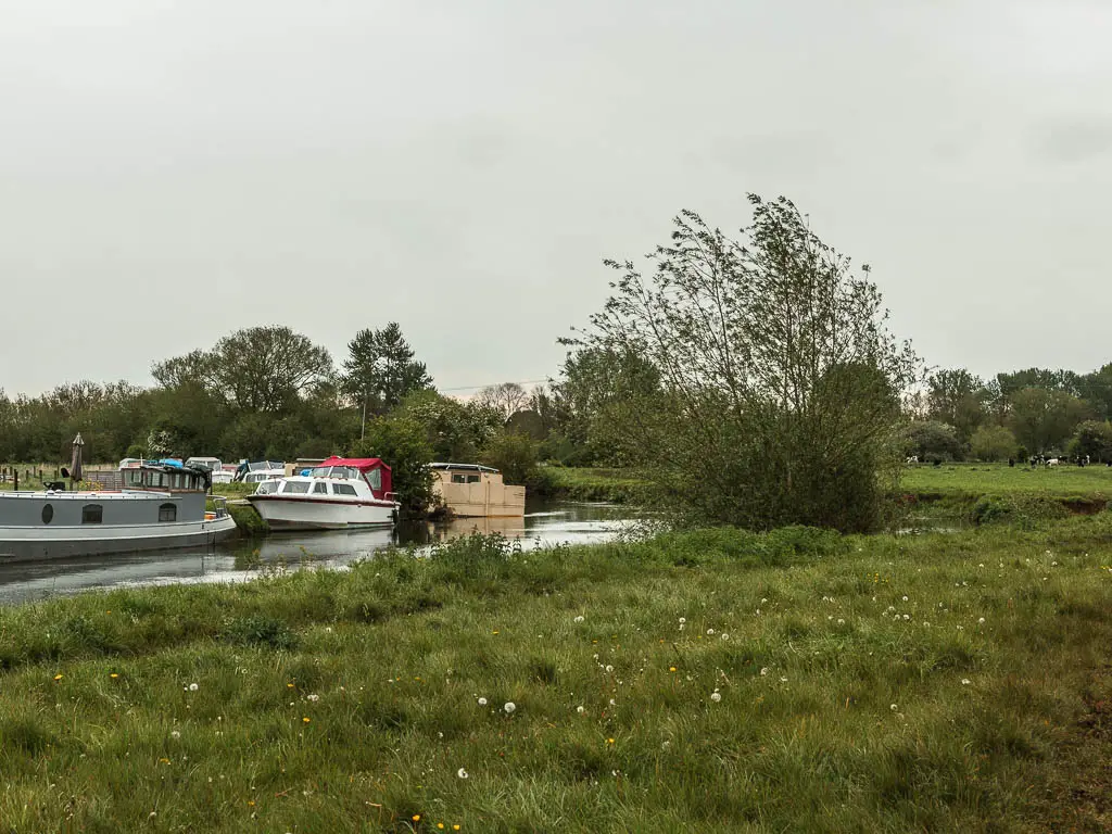 A grass field with the river and moored boats on the left.