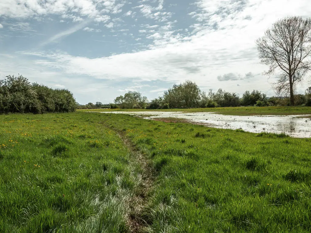 A grass field with stream of water to the right.