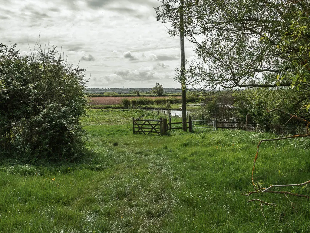 A grass field with a big bush on the left, and a wooden gate ahead.