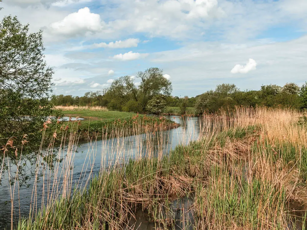 The river curving on the left, with tall grass and hay on the right.