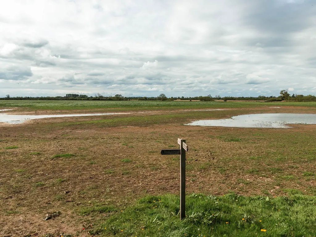 A wooden trail sign sitting in a large empty field. The sign points left, ahead and back.