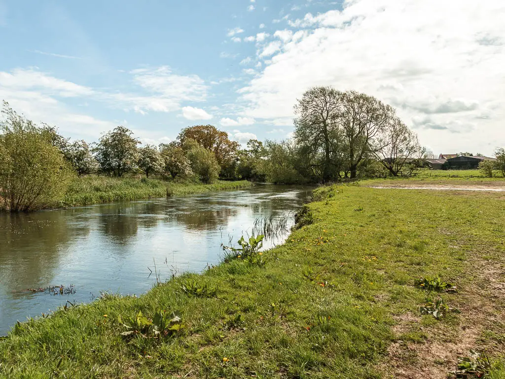 The river on the left, and grass field on the right. There are trees on the other side of the river.