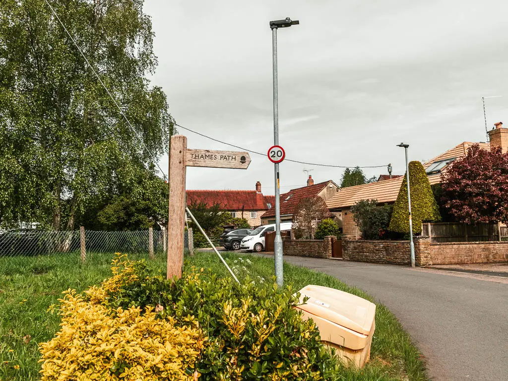 A wooden trail sign sticking out of a yellow bush on the green on the left. The sign is pointing right, across the road. There are houses ahead.