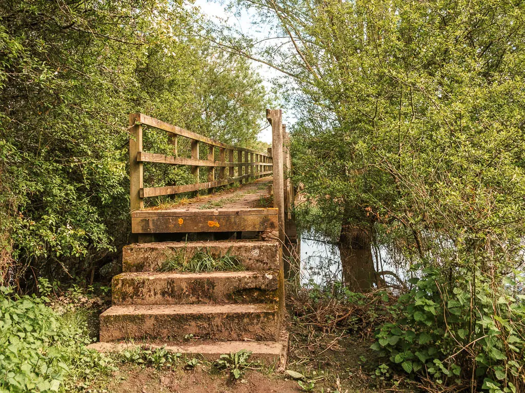 A wooden bridge with stone steps leading up to it, surround by masses of green bush and trees.