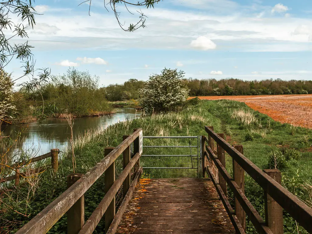 Looking along a wooden bridge to the grass ahead, and orange crop field on the right, and river on the left.