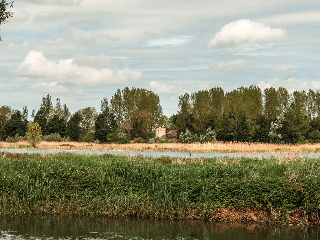 Looking across the river to a green grass bank, a strip of water, and a row of trees on the other side when walking from Cricklade to Lechlade.