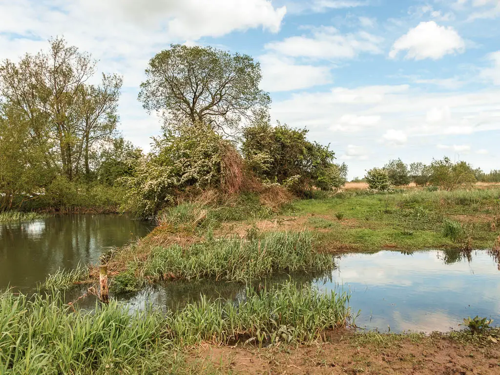 A flooded field.
