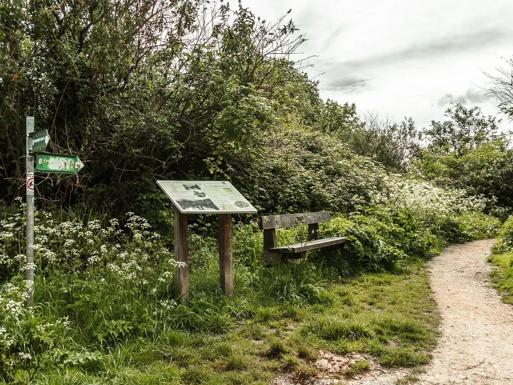 A curving trail on the right, and green grass and bushes on the left with a wooden bench and information board.