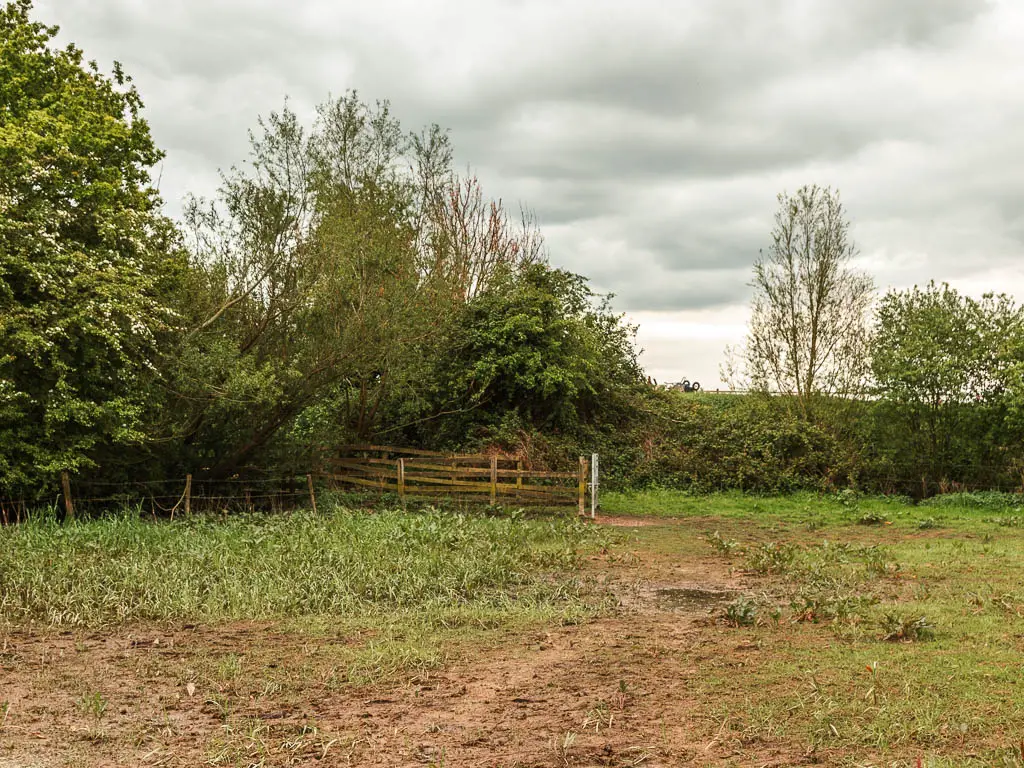 A muddy field with bushes and trees ahead, and a wooden fence infant of them.
