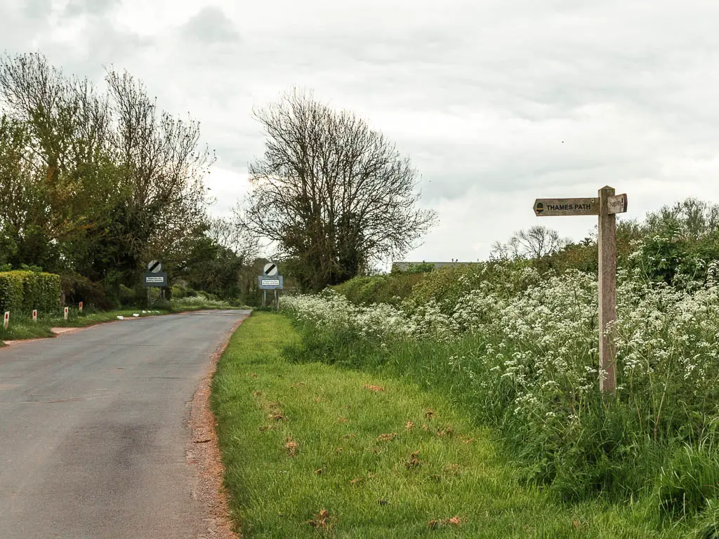 The road on the left leading ahead, and grass bank with bushes on the right. There is a wooden trial sign on the bank, pointing left.