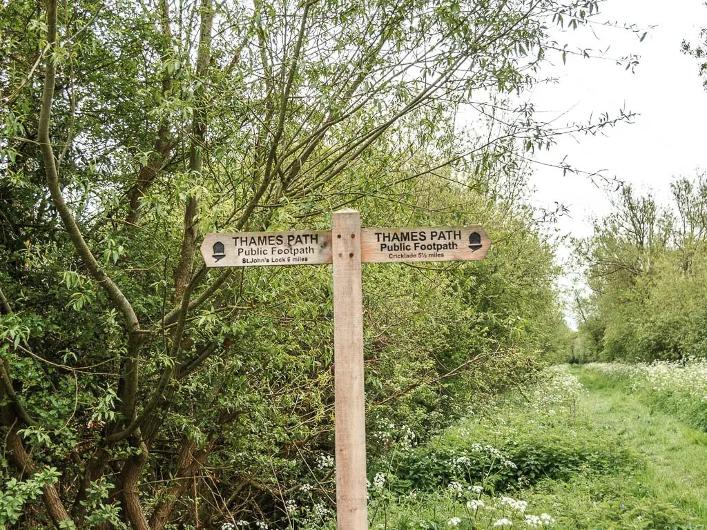 A wooden trail sign pointing left and right, sitting in front of grass leafy trees.