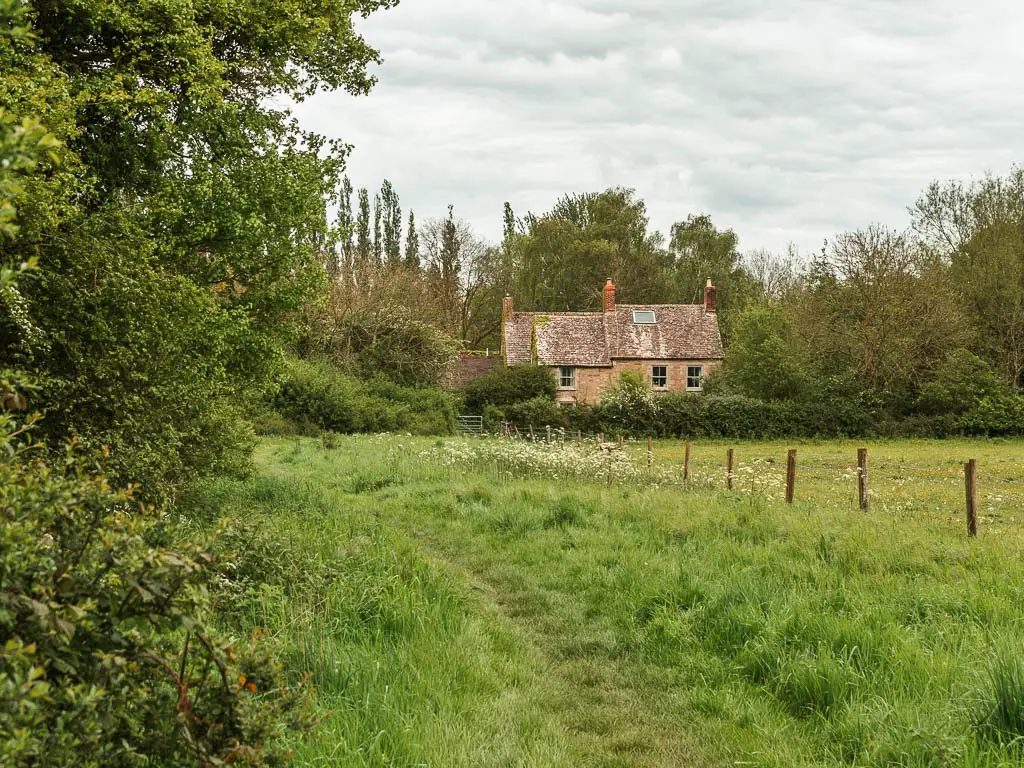 A trail through the grass leading towards a cottage ahead on the walk from Cricklade to Lechlade. There are green leafy bushes on the left side.