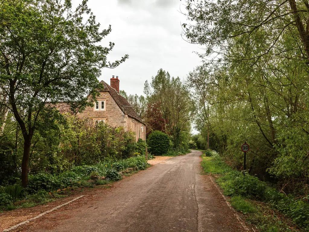 A road leading ahead, lined with green leafy bushes and trees, and partially hidden house ahead on the left.
