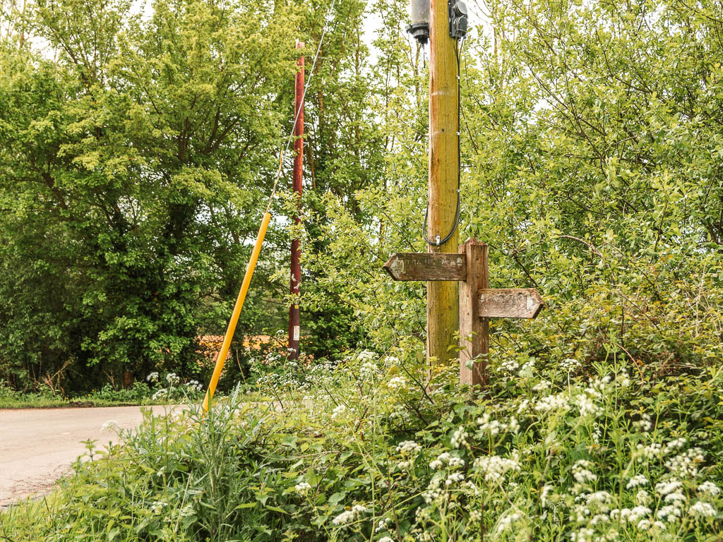 A wooden signpost nestled in a green bush.