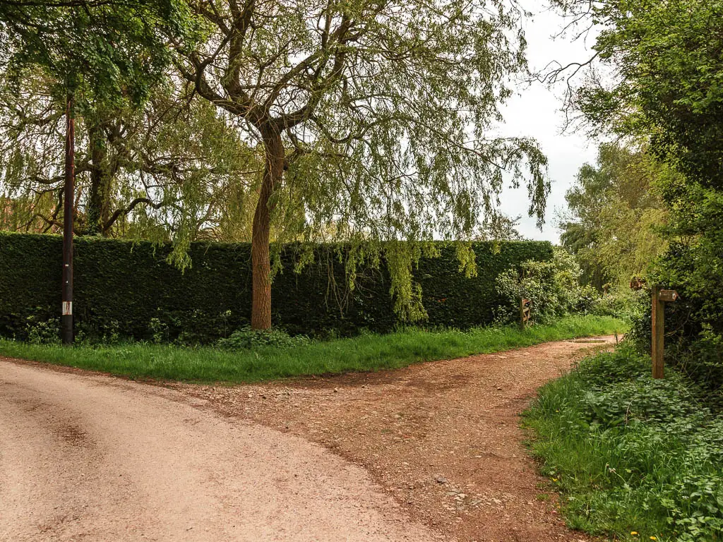 A trial leading to the left, off the road. The trail is lined with strips of green grass, there is a hedge wall on the left side of it.