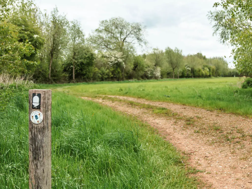 A wooden stump sign with white acorn on the left on the grass, with the trail on the right, curving left. There is a grass field on the right side of the trail.