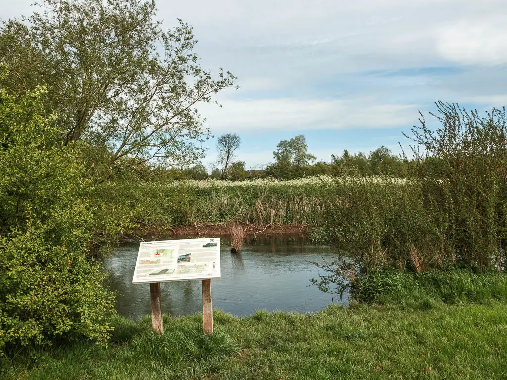 An information board sitting on the grass in front of the river, near the start of the walk from Cricklade to Lechlade.