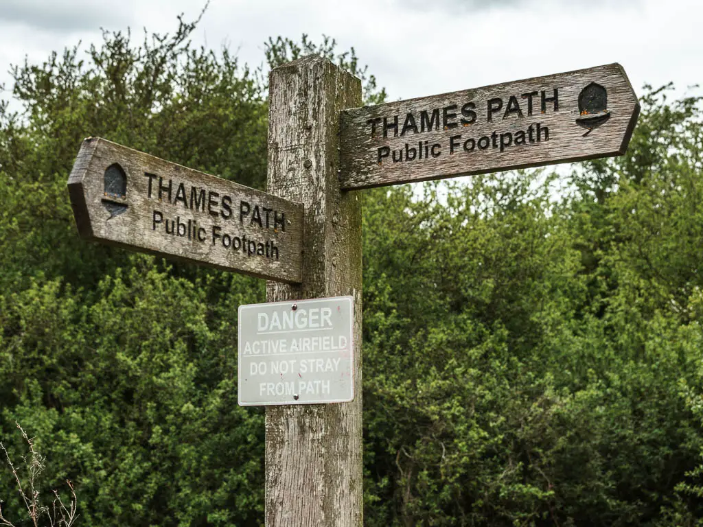A wooden trail sign saying 'Thames Path' pointing right and back, sitting in front of a big green leafy bush.