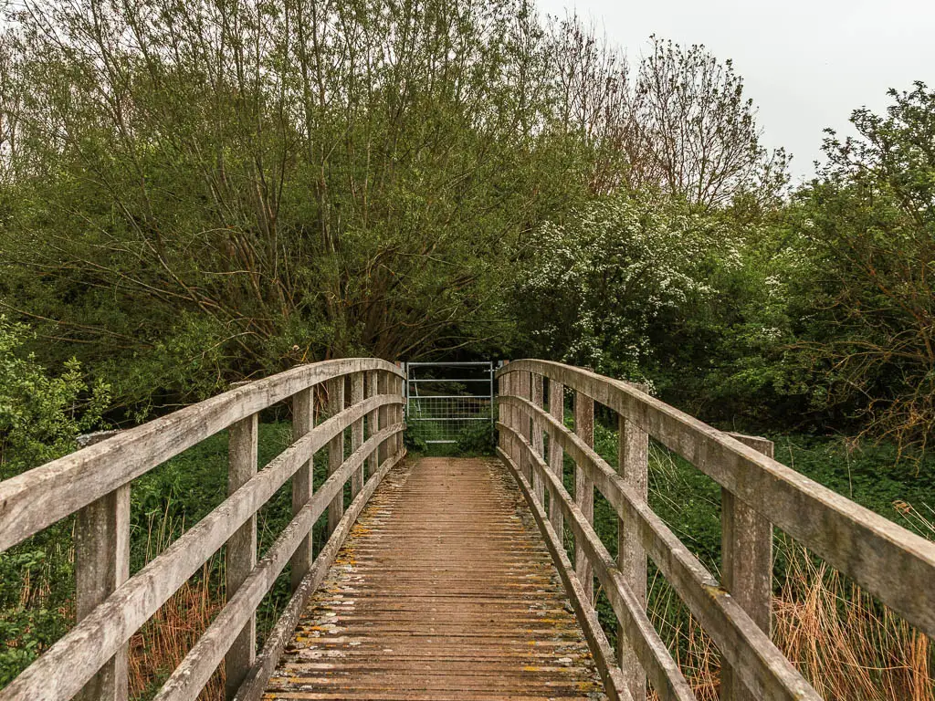 Looking along a wooden bridge to a metal gate and mass of green leafy bushes and trees on the other side.