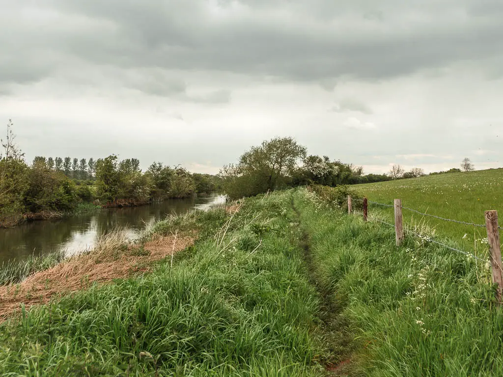 A trail leading ahead through the tall grass, with a wire fence on the right and river on the left.
