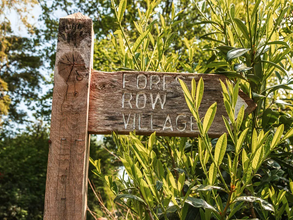 A wooden sign pointing right to walk to Forest Row village. There sign is in front of a green leafy bush.