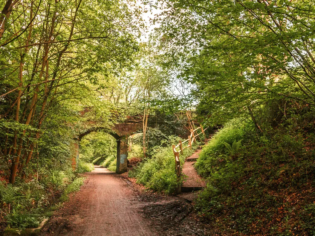 A straight wide dirt path leading under an archway bridge partially engulfed by woodland trees and leaves, on the walk along the Forest Way.