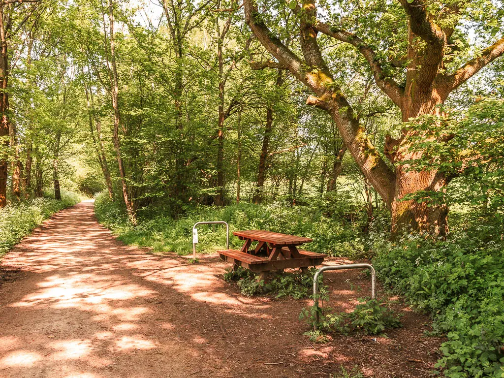 A wooden picnic bench next to the dirt path. The path is lined with trees and green leafy bushes. There is a large tree behind the bench.